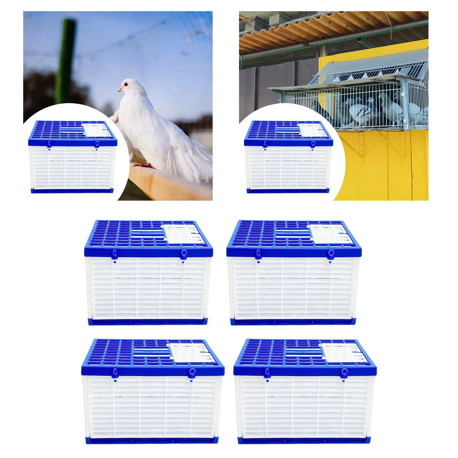Jaula Plegable para Palomas, A - Travel Accessories Warehouse reseña y precio